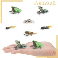 [Amleso2] Life Cycle of Frog Toys Teaching Aids Realistic Animal Growth Cycle Figures