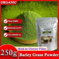 Barley Grass Powder 100% Pure &amp; Organic Organic Barley Grass Powder Pure Organic Barley for Women and Men 250g