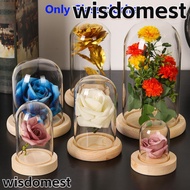 WISDOMEST Glass cloche Home Decor Plants Glass Vase Terrarium Transparent Bottle Flower Storage box