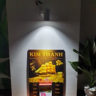 Combo 1 Spotlight + 1 10w, 20w Painting Spotlight