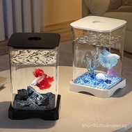 Small Betta Fish Tank for Living Room, Home Aquarium, Goldfish Tank, Complete Set for Fish Keeping, 