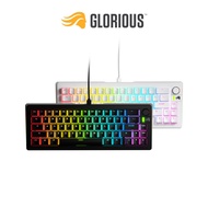 Glorious Gaming GMMK 3 65% Mechanical Wired Keyboard Glorious Fox Switch