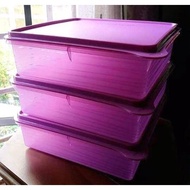 Tupperware B2B Snack Stor 2.9L (3)