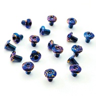 [Four Points Five Rotating Long] M3 Titanium Horse Semicircle Head Torx Screw T8 Handle Titanium Dam