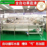 生產黃木耳清洗機 大產量花菇氣泡清洗機 商用木耳清洗流水線