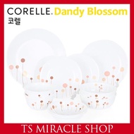 CORELLE KOREA Dandy Blossom Tableware 10p Set for 2 People Korean Type (Round Pl