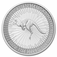 1 Troy Oz Silver Coin