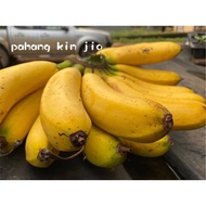 Pisang berangan / Banana freshly from pahang