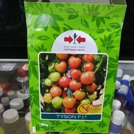 BENIH TOMAT TYSON F1 10 GRAM(1750 BUTIR)