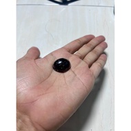 Fossil Nibong Asli Tua Untuk Dimaharkan (Rm45)