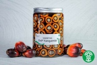 Bibit Benih Kecambah Sawit Unggul PPKS DXP SMB 239 YANGAMBI 540 NG (ISI 150 & 250 BUTIR)