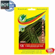 HYBRID ASPARAGUS HIGH RISE 1Pack ASPARAGUS HASIL TINGGI Permanent