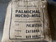 南美龐老爹咖啡 哥斯大黎加 Pamichal Los Santos莊園 Costa Rica 蜜處理 紅蜜 生豆 1公斤