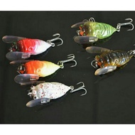 5cm 6.5g Lure Crawling Bait Cicada Fake