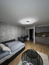 อพาร์ตเมนต์ 1 ห้องนอน 1 ห้องน้ำส่วนตัว ขนาด 28 ตร.ม. – ไฮด์ฮอเซ็น (Suite One Munich)