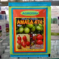 Benih Tomat AMALA 474 10gr Original Pack AGROSID
