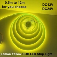 DC12V 24V COB LED Strip Light 320 LEDs/m Flexible Tape for Home Commercial Car Truck (13 Colors, Cus