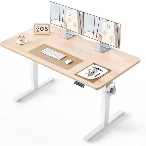 55 × 24 Inches Standing Desk, Ergonomic, Electric Height Adjustable, Sit and Stand Up, Computer Offi