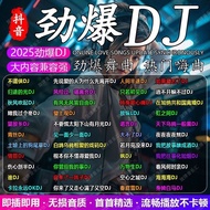 2025 Popular New Song DJ Internet Popular Music U Disk Song dj Subwoofer Dance Song MP3 USB Drive