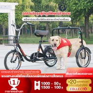 Dog Towing Equipment Tricycle Bicycle Dedicated Training Traction