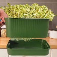Bean sprout growing tray Reusable sprout growing aid tray for the family