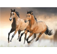 กระเบื้องผนังภาพชุด ALONZO HORSES 60X90*A (30X45CM/4 แผ่น/ชุด)