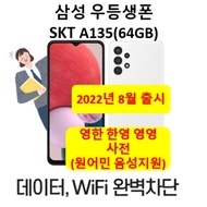 SKT Samsung public phone Galaxy A135 study phone student phone test taker youth kids internet self-blocking