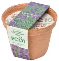 日本 SeiShin 100％環保再生紙盆栽 － 薰衣草