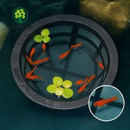 ZILUOLAN Fish Fry Cage, Floating Large Capacity Aquarium Filters,  Reusable Fish Fry Isolation Box F