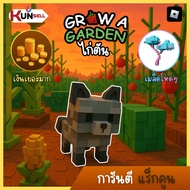 ไก่ตัน Grow A Garden 🦝 การันตี แร็กคูน 100%