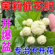 Jasmine Fertilizer Pot Flower Nutrient Solution Nitrogen Phosphorus Potassium Iron Fertilizer Prevention Yellow Leaf Flo