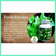 Original%Av=pansit:tC<pansitan-YCgoodMWforVprostatexproblems