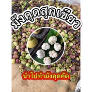 มังคุดสุกเขียว มังคุดเขียว มังคุดดิบ มังคุดคัด ส่งฟรี!!! มังคุดระยอง เหมาะสำหรับนำไปทำมังคุดคัด ยำมั