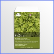 ◷ ∈ ♕ Invicta RZ Batavia Pelleted Lettuce Seeds