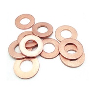 (1 BIJI) M6 WASHER COPPER 10MM WASHER COPPER COPPER WASHER M6
