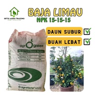 Baja Limau Kuda Merah | Baja Anak Limau | Baja Tumbesaran Limau