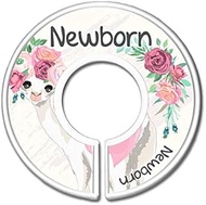 Girls Chic Llama Baby Clothes Size Dividers, Floral Shabby Boho Nursery Closet Organizers, Gift for 