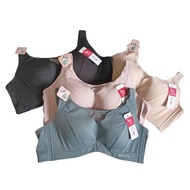 Elena Exclusive Thin Foam Underwire Bra E6228 Size 34B-40B Soft Elegant Material