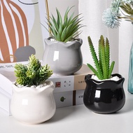 Ceramic Succulent Flower Pot Creative Personalized Combination Simple Succulent Pot Home Cactus Green Plant Thumb Pot