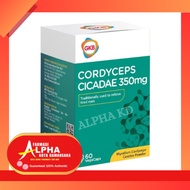 GKB Cordyceps Cicadae 350mg 60s vegecap