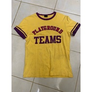 PLAYGROUND TEAMS POLHAM