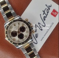 Rolex Daytona 116523 金鋼熊貓面