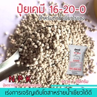 Ratjat ปุ๋ยนา เร่งการเจริญเติบของสาหร่ายสีเขียว สำหรับทำน้ำเขียวไรแดง