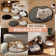 🎏貓貓乾爽絲涼感坐墊🐈7款可選