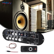 [Hellery] Channel Power Amplifier Board 10M Connection, High Performance Audio Receiver Board Univer