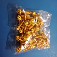 Baut Windshield Nmax Probolt Baut Visor Nmax Probolt 4pcs