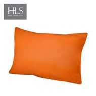 หมอนหนุนสุญญากาศ HLS BOON (1022358)