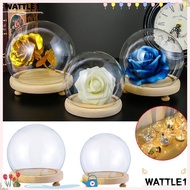 WTTLE Glass cloche Plants Fairy Lights Spherical Terrarium Transparent Bottle Glass Vase Wooden base