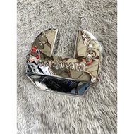 BAJAJ CT125 ENGINE GUARD STAINLESS STEEL