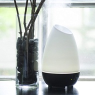 HealthSmart Essential Oil Diffuser, Cool Mist Humidifier and Aromatherapy Diffuser with 500ML Tank I